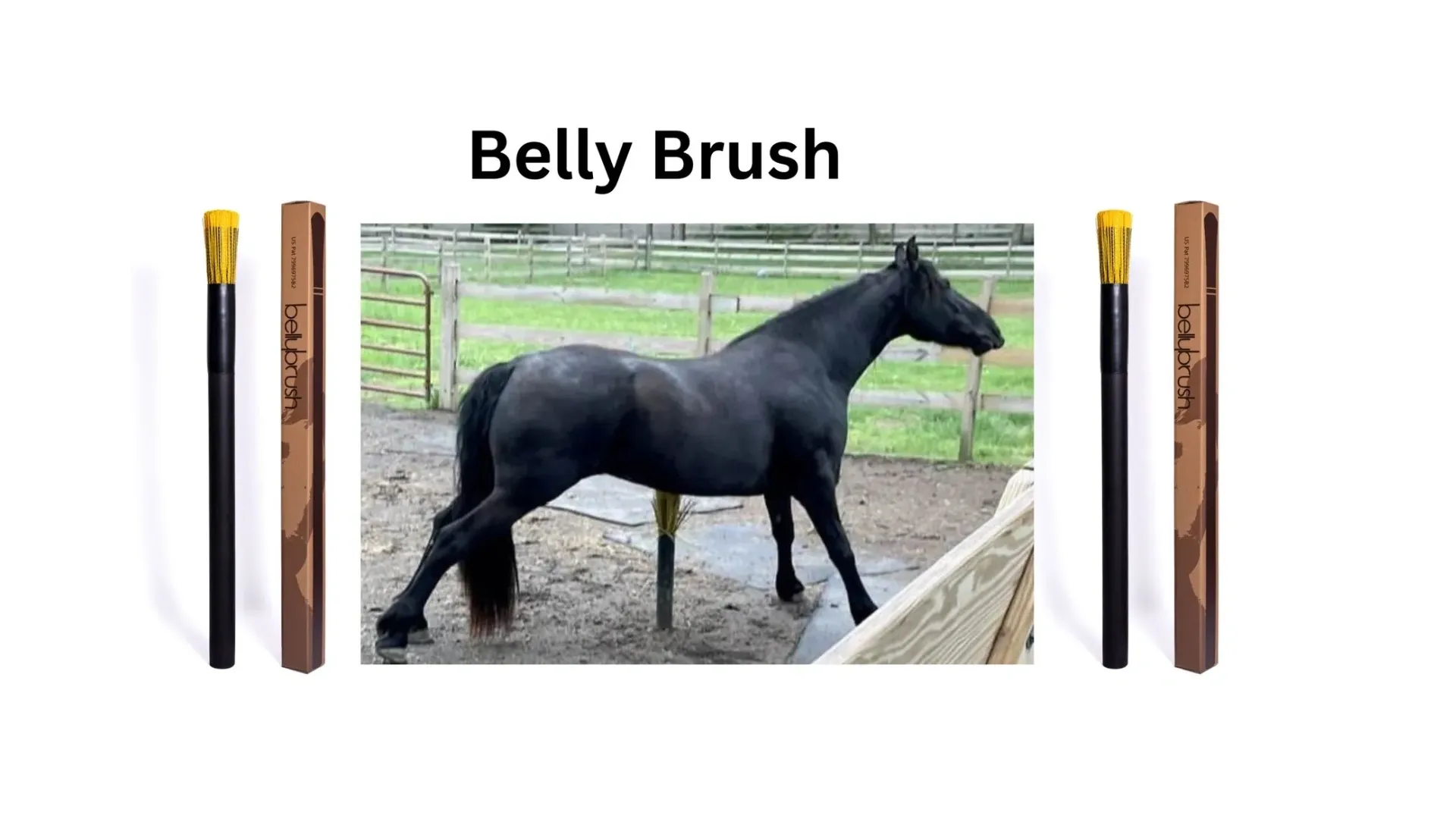 Belly Brush product card with a horse using the brush